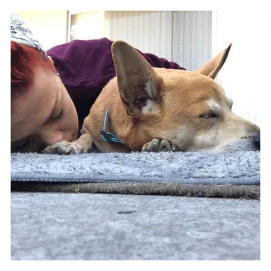 woman in purple shirt laying face down next to a tan dog, they appear to both be taking a nap