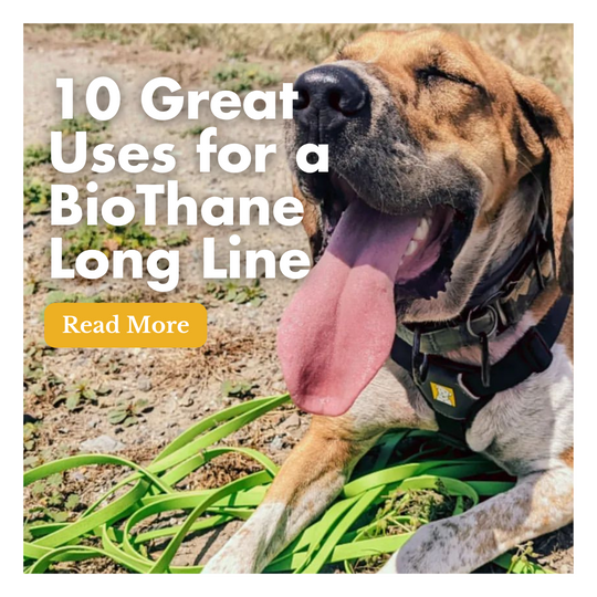 10 Great Uses for a BioThane Long Line
