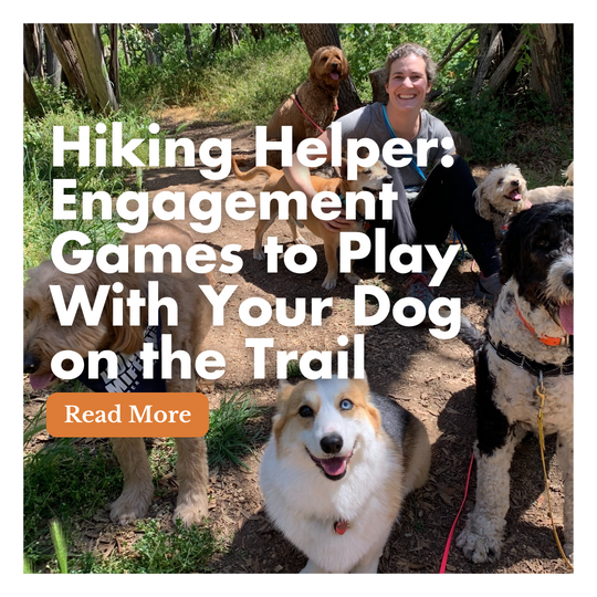 Hiking Helper: Engagement Games to Play With Your Dog on the Trail
