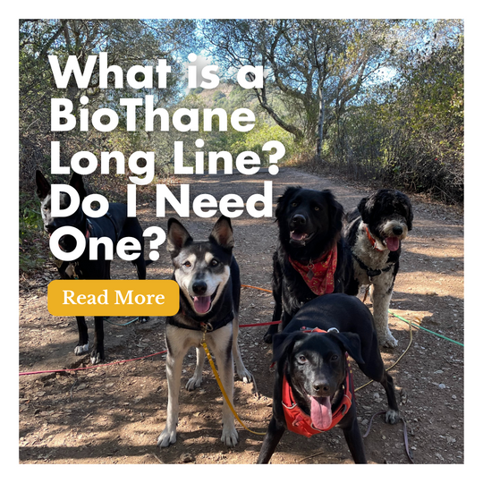 What is a BioThane Long Line? Do I Need One? 