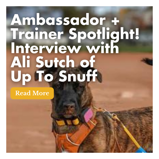 Ambassador + Trainer Spotlight! Interview with Ali Sutch of Up To Snuff