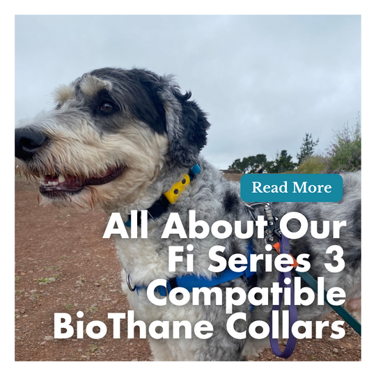 All About Our Fi Series 3 Compatible BioThane Collars