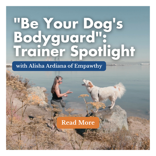 "Be Your Dog's Bodyguard": Trainer Spotlight with Alisha Ardiana of Empawthy