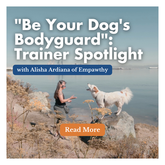 "Be Your Dog's Bodyguard": Trainer Spotlight with Alisha Ardiana of Empawthy