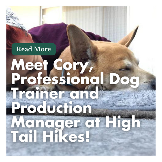 Meet Cory, Professional Dog Trainer and Production Manager at High Tail Hikes!
