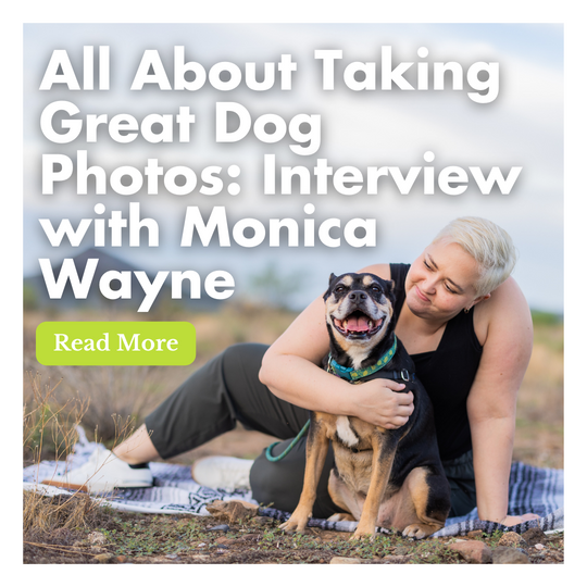All About Taking Great Dog Photos: Interview with Monica Wayne of Monica Wayne Photography