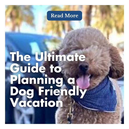The Ultimate Guide to Planning a Dog Friendly Vacation
