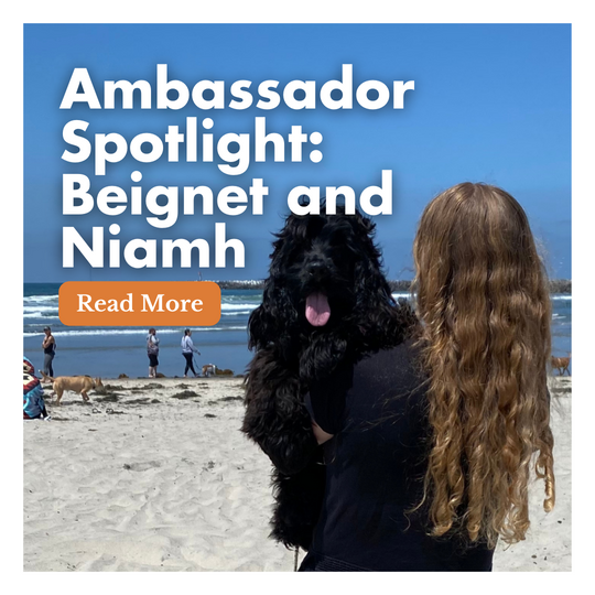 Ambassador Spotlight: Beignet and Niamh