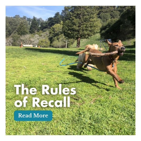 The Rules of Recall