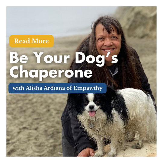 Be Your Dog's Chaperone