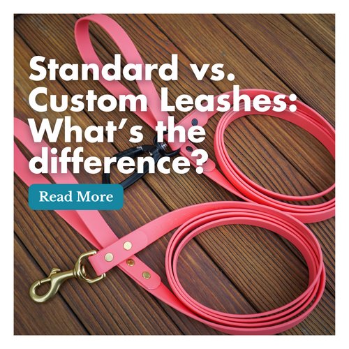 Standard vs. Custom Leashes: What's the difference?