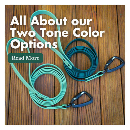 All About Color Options for our BioThane Leashes!