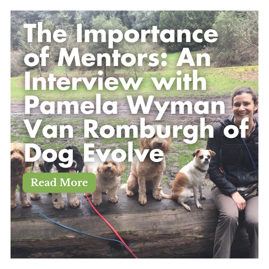 The Importance of Mentors: An Interview with Pamela Wyman Van Romburgh of Dog Evolve