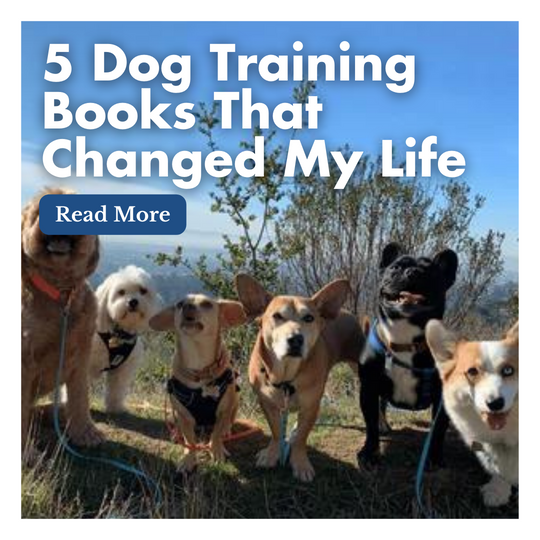 5 Dog Training Books That Changed My Life