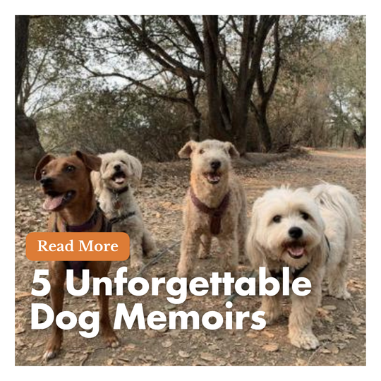 5 Unforgettable Dog Memoirs