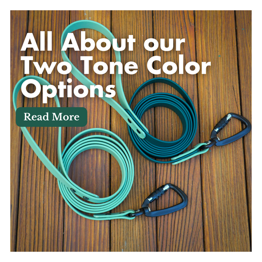 All About Color Options for our BioThane Leashes!