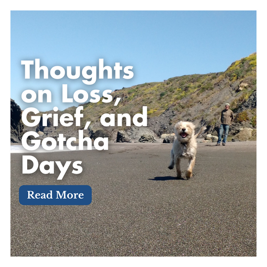 Thoughts on Loss, Grief, and Gotcha Days