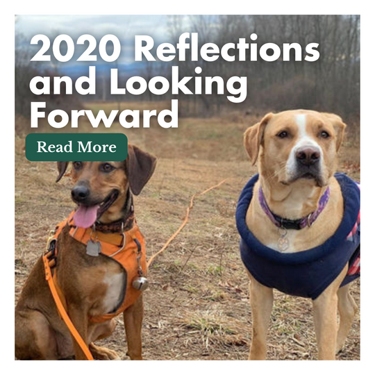 2020 Reflections and Looking Forward