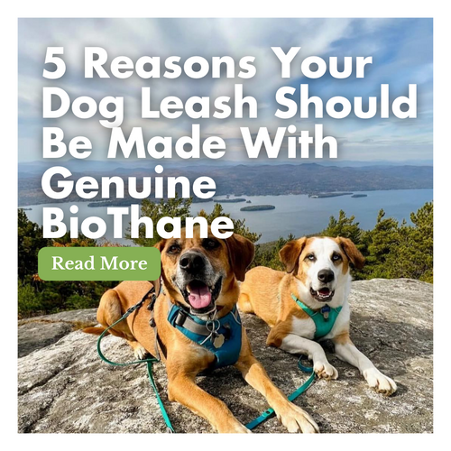 5 Reasons Your Dog Leash Should Be Made With Genuine BioThane