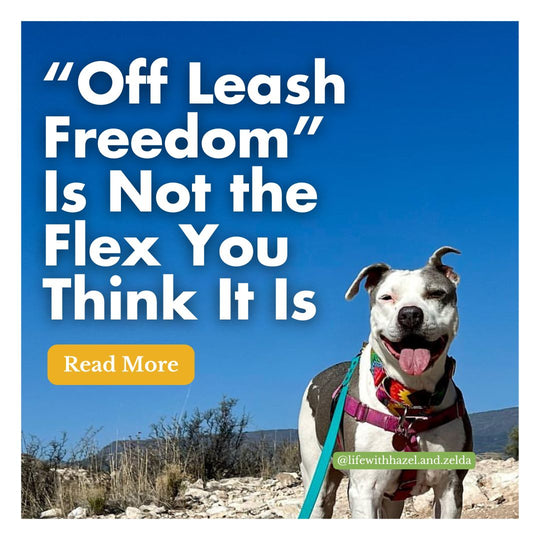 Why “Off Leash Freedom” Isn’t the Flex You Think It Is