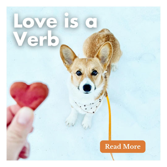 Love is a Verb