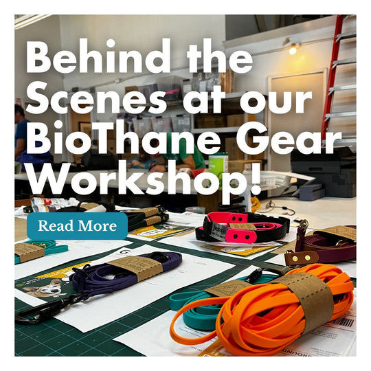 Behind the Scenes at our BioThane Leash Workshop!