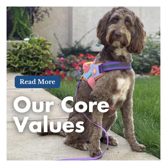 High Tail Hikes: Our Core Values