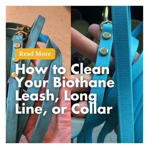 How to Clean Your BioThane Leash, Long Line, or Collar