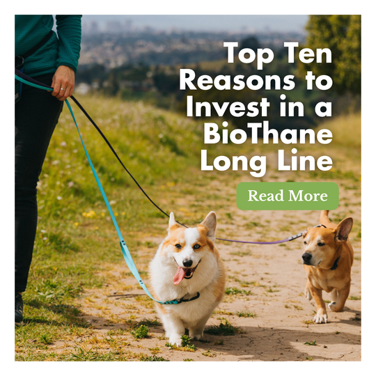 Top Ten Reasons to Invest in a BioThane Long Line