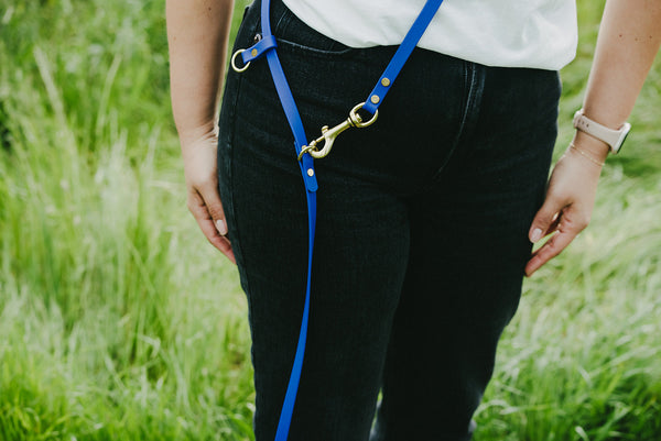 Choosing Hardware for Your BioThane Leash