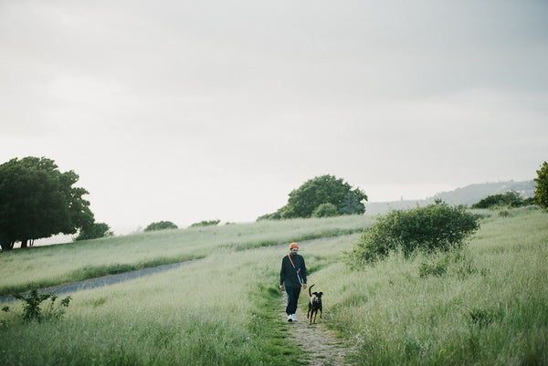 Take an Enrichment Walk With Your Dog: 20 Fun Locations To Try!