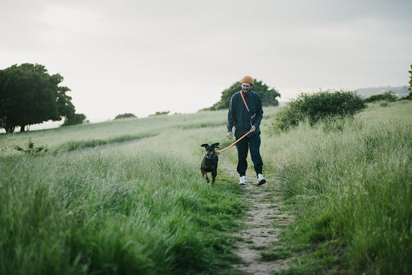 Top 5 Trail Tips for Hiking With Your Dog