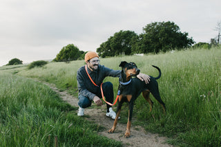 man kneeling next to a black and brown dog that is wearing a blue biothane collar and orange with blue hands free leash attached to the man they are in a field of tall grass