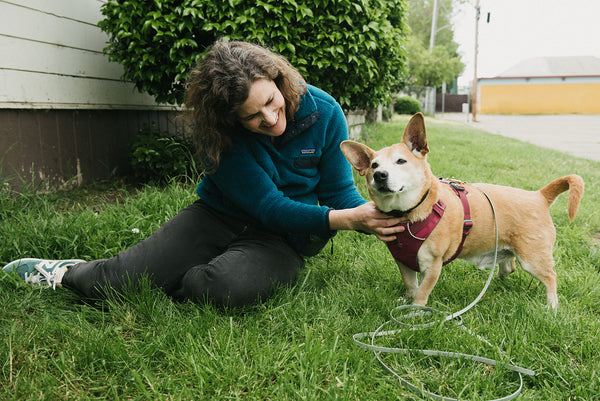 white woman with dark hair sitting in the grass petting a short tan dog with a long body, dog is wearing a red harness and green long leash
