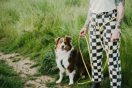 brown and white dog sitting in the grass on the side of a trail next to a woman in white shirt and black and white checkered pants