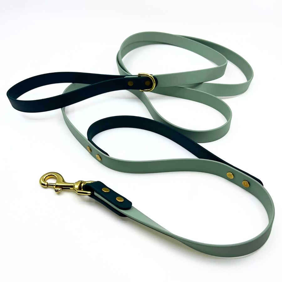 Custom Brass Leashes + Long Lines - Large Dogs (3/4" Width)