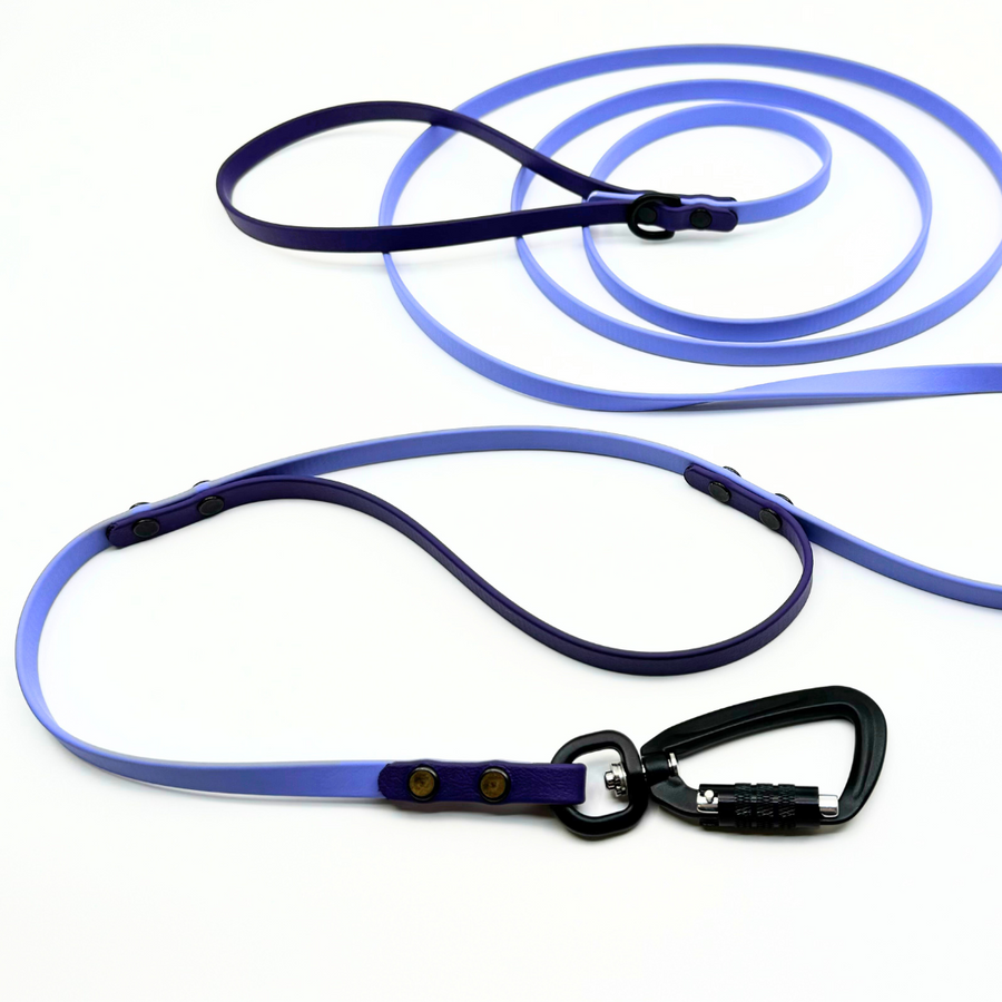 Custom Sport Leashes + Long Lines - Small Dogs (3/8")