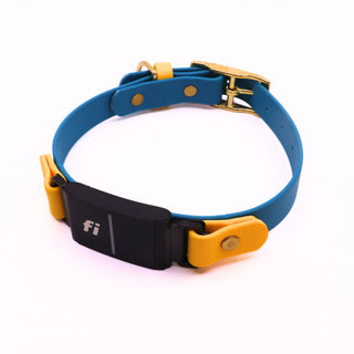 Pre Made Fi Series 3/3+ Layered Brass Collar - 3/4" Width - Medium (Fits 12-16") - Ocean with Goldenrod + Goldenrod Strap Keeper