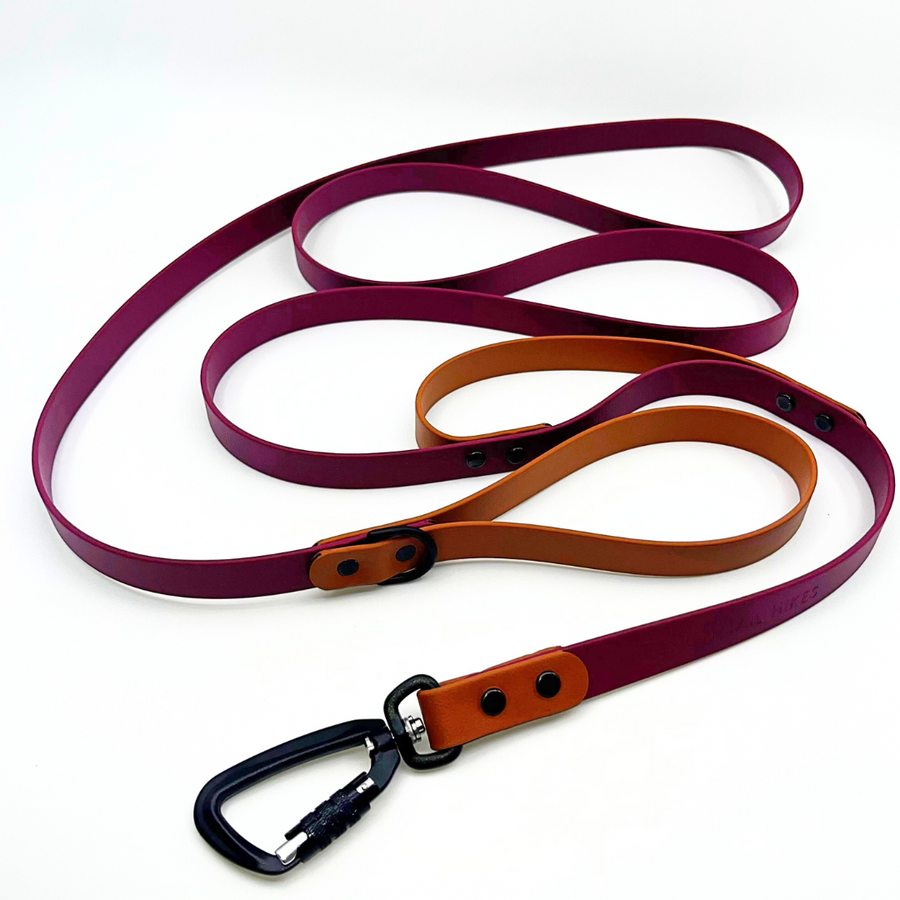 Custom Sport Leashes + Long Lines - Large Dogs (3/4" Width)