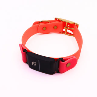 Pre Made Fi Series 3/3+ Layered Brass Collar - 3/4" Width - Medium (Fits 12-16") - Persimmon with Flamingo Accents