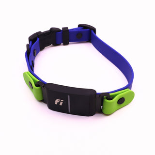 Pre Made Fi Series 3/3+ Layered Sport Collar - 3/4" Width - Small (Fits 13-15") - Blueberry with Green Apple Accents