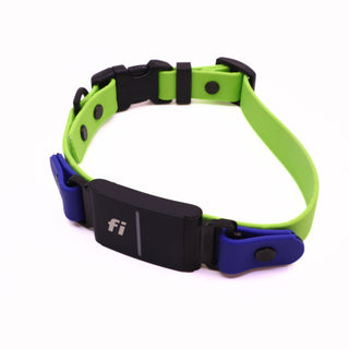 Pre Made Fi Series 3/3+ Layered Sport Collar - 3/4" Width - Small (Fits 13-15") - Green Apple with Blueberry Accents