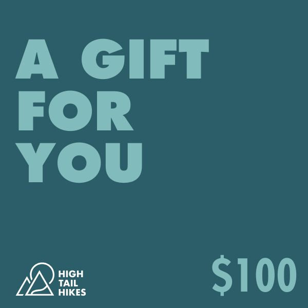 Digital gift card with 'A Gift for You' text, High Tail Hikes logo, and $100 amount on a teal background.