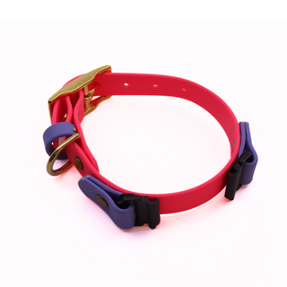 Pre Made Brass Fi Series 3 Layered Collar - 3/4" Width - Small (Fits 9-12") - Flamingo with Periwinkle Keeper Strap