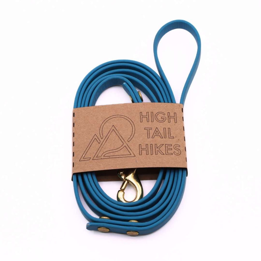 Pre Made Brass Leash - Small (3/8") - 5 ft 4 in - Standard Loop Handle - Ocean *Non-Standard Length