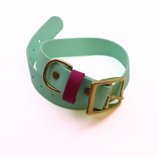 Pre Made Classic Brass Collar - 1" Width - Large (Fits 15-20") - Seafoam with Magenta Keeper Strap