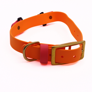 Pre Made Brass Fi Series 3 Layered Collar - 1" Width - Large (Fits 15-20") - Poppy with Coral Strap Keeper