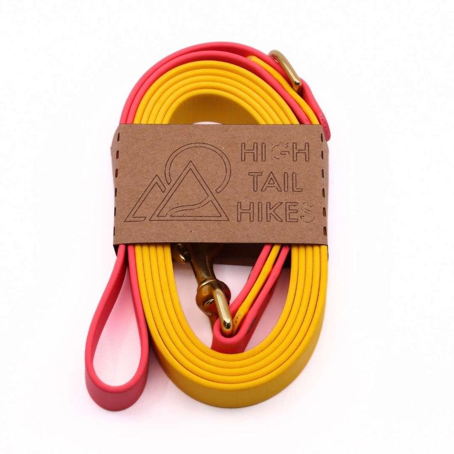 Pre Made Brass Leash - Large (3/4") - 6 ft - Standard Loop Handle with D-Ring - Goldenrod with Coral