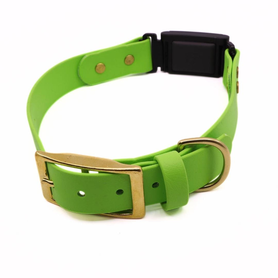 Pre Made Fi Series 3 Brass Integrated Collar - 1" Width - Fits 15-20" - Green Apple with Green Apple Strap Keeper