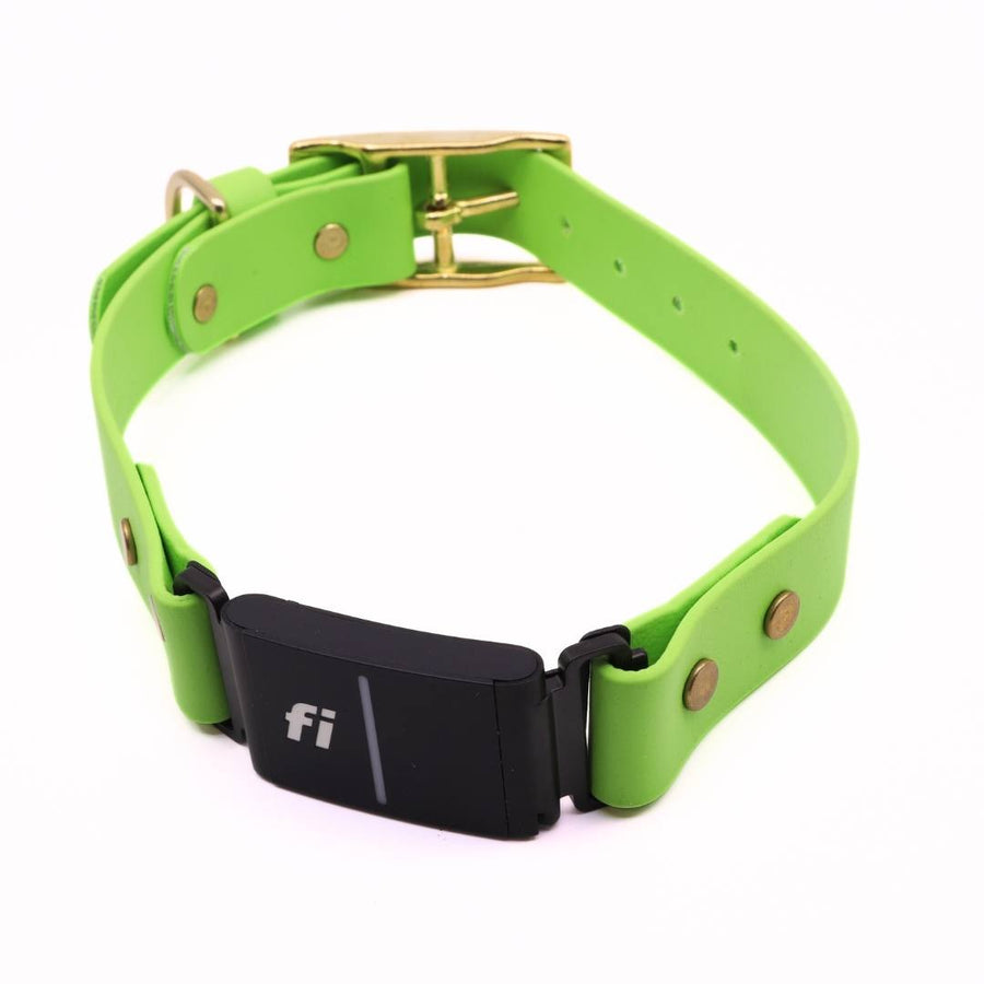 Pre Made Fi Series 3 Brass Integrated Collar - 1" Width - Fits 15-20" - Green Apple with Green Apple Strap Keeper